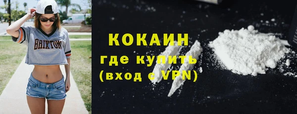 не бодяженный Бородино
