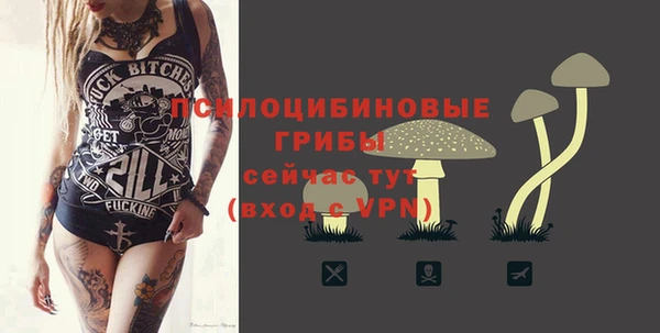 apvp Бугульма