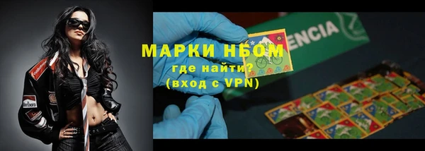 гидра Тайга