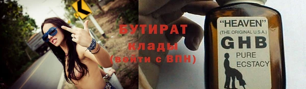 гидра Тайга