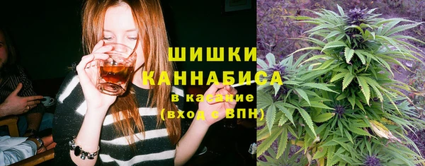 не бодяженный Бородино