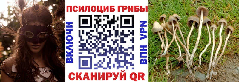 Галлюциногенные грибы мицелий  площадка телеграм  Томари  дарнет шоп 